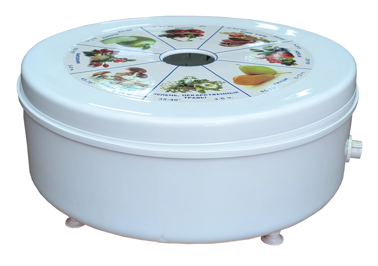 ხილის საშრობი